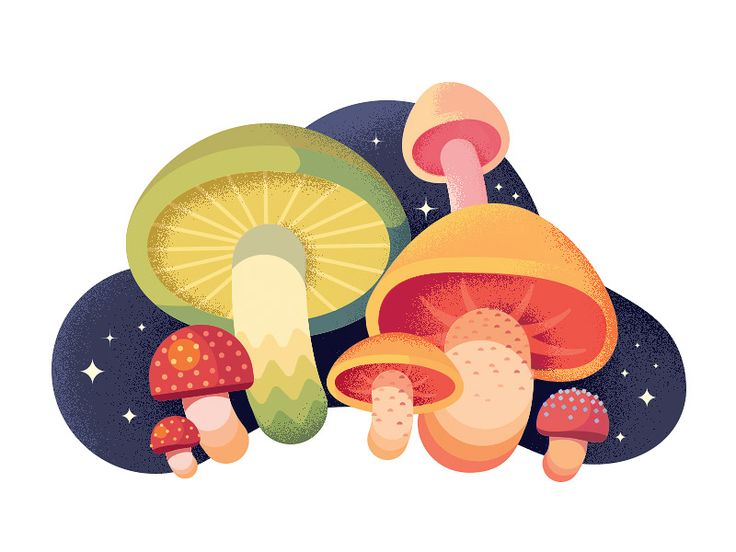 Mushrooms Images