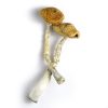 Golden Emperor Mushrooms