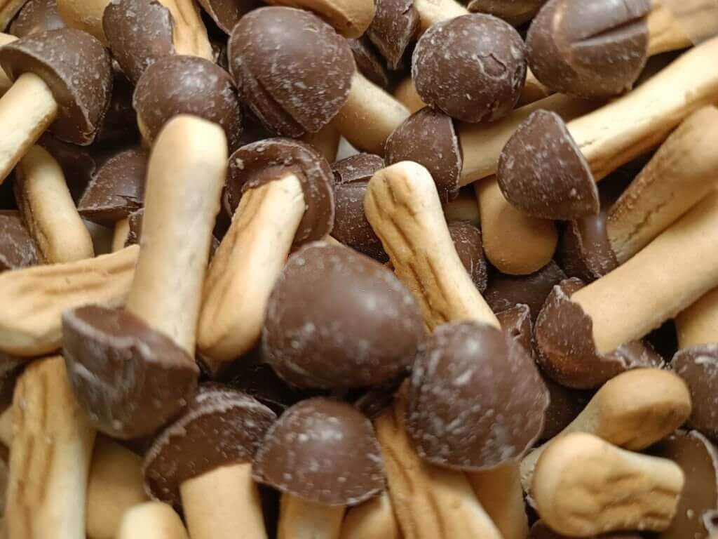 Mushroom-Chocolate